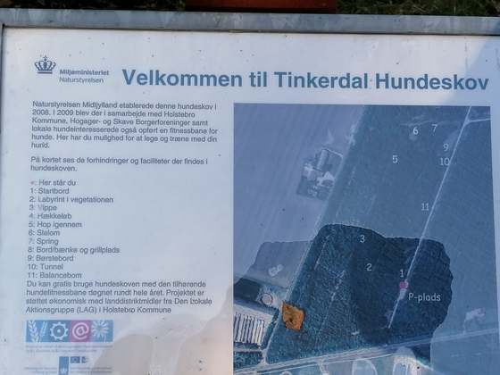 Afdeling Utænkelig radium Agilitybane for hunde i Feldborg Nørreskov | udinaturen.dk