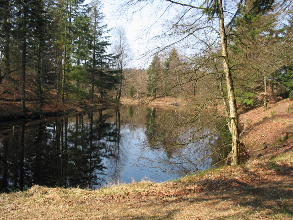 Rold Skov, Hesselholt, Hvass Sø, Bålhus | Udinaturen.dk