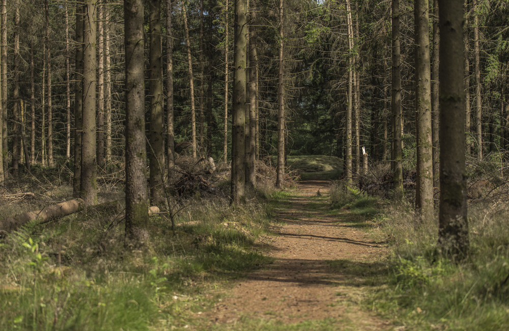 Rattrupdalturen | udinaturen.dk